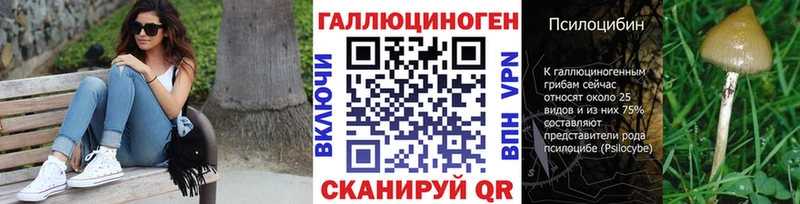 дарнет шоп  Козьмодемьянск  Галлюциногенные грибы Cubensis 